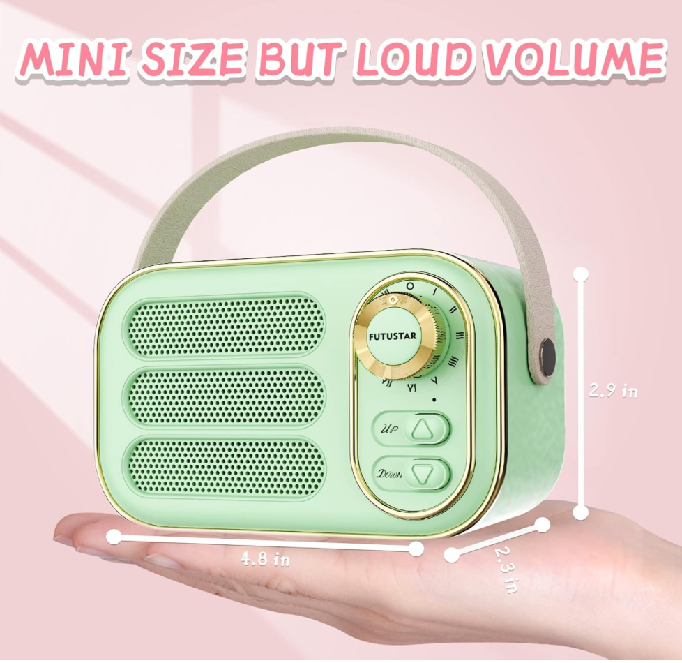 *DW13 PORTABLE BLUETOOTH WIRELESS SPEAKER*