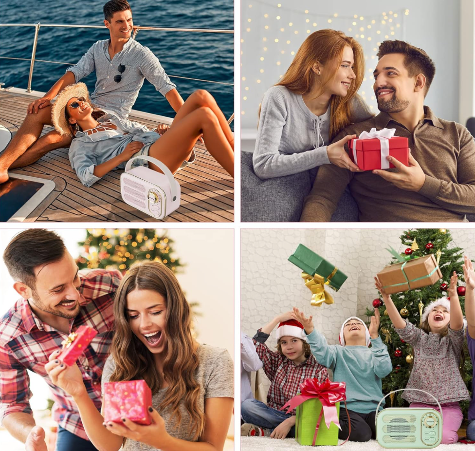 *DW13 PORTABLE BLUETOOTH WIRELESS SPEAKER*