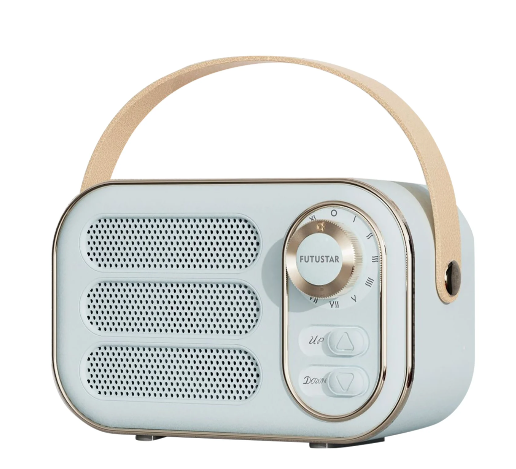 *DW13 PORTABLE BLUETOOTH WIRELESS SPEAKER*