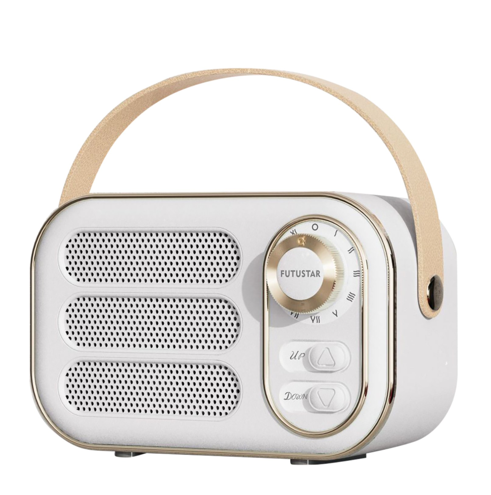 *DW13 PORTABLE BLUETOOTH WIRELESS SPEAKER*